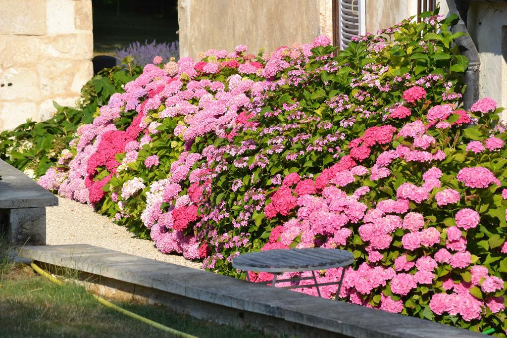 La Maison Du Potager De Mazieres Sainte-Solange Buitenkant foto