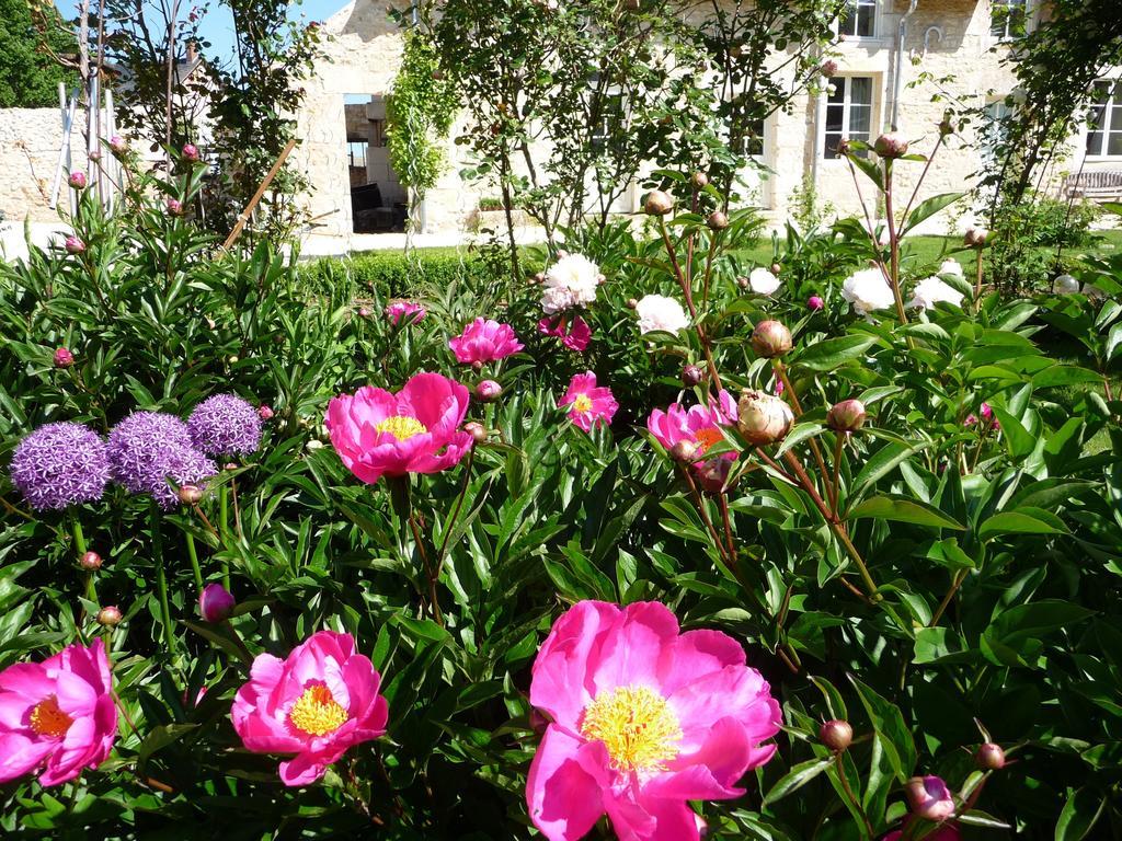 La Maison Du Potager De Mazieres Sainte-Solange Buitenkant foto